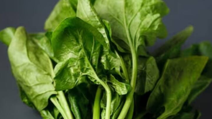 পালং শাক পুষ্টিগুণে সমৃদ্ধ হয়। প্রচুর অ্যান্টিঅক্সিড্যান্ট এবং খনিজ থাকে, যা লিভারের স্বাস্থ্যরক্ষার জন্যয় জরুরি। ওটমিলও এক্ষেত্রে আদর্শ। ছবি: পিক্সাবে।                                                                                                  ডিসক্লেইমার : কপিতে উল্লেখিত দাবি, পদ্ধতি পরামর্শস্বরূপ। প্রয়োজনীয় চিকিৎসাপদ্ধতি/ডায়েট ফলো করার জন্য অবশ্যই বিশেষজ্ঞ / চিকিৎসকের সঙ্গে কথা বলুন ও সেইমতো নিয়ম মেনে চলুন।