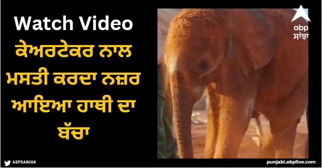 baby elephant having fun with caretaker watch adorable video Viral Video: ਕੇਅਰਟੇਕਰ ਨਾਲ ਮਸਤੀ ਕਰਦਾ ਨਜ਼ਰ ਆਇਆ ਹਾਥੀ ਦਾ ਬੱਚਾ, ਵੀਡੀਓ ਨੇ ਜਿੱਤ ਲਿਆ ਲੋਕਾਂ ਦਾ ਦਿਲ