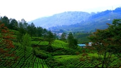 IRCTC Tour: असम-मेघालय घूमने का बना रहे प्लान तो IRCTC लाया छह दिन का टूर पैकेज, जानें किराये से लेकर अन्य डिटेल्स