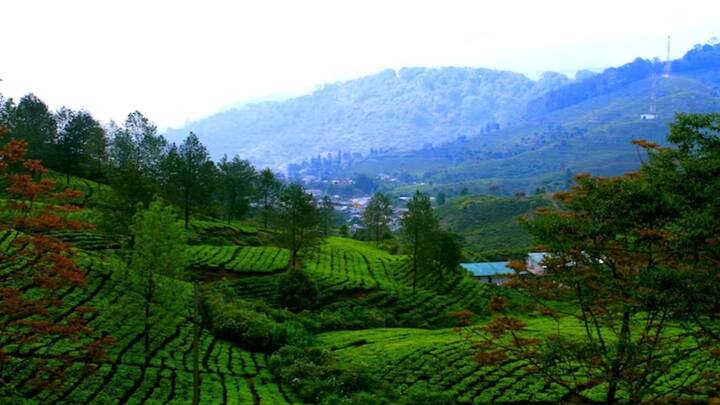 IRCTC Assam Meghalaya Tour: आईआरसीटीसी टूरिस्टों के लिए बेंगलुरु से असम और मेघालय के लिए शानदार पैकेज लेकर आया है. इसमें आपको ठहरने, खाने पीने आदि की कई तरह की सुविधाएं मिल रही हैं. हम आपको इसके डिटेल्स के बारे में बता रहे हैं.