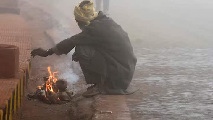 IMD Weather: પશ્ચિમ હિમાલય પ્રદેશ, ઉત્તર ભારત અને ઉત્તર-પશ્ચિમ ભારતીય રાજ્યોમાં શીત લહેર ઘટવાની કોઈ શક્યતા નથી. ભારતીય હવામાન વિભાગે તાજેતરની આગાહીઓ જાહેર કરી છે.