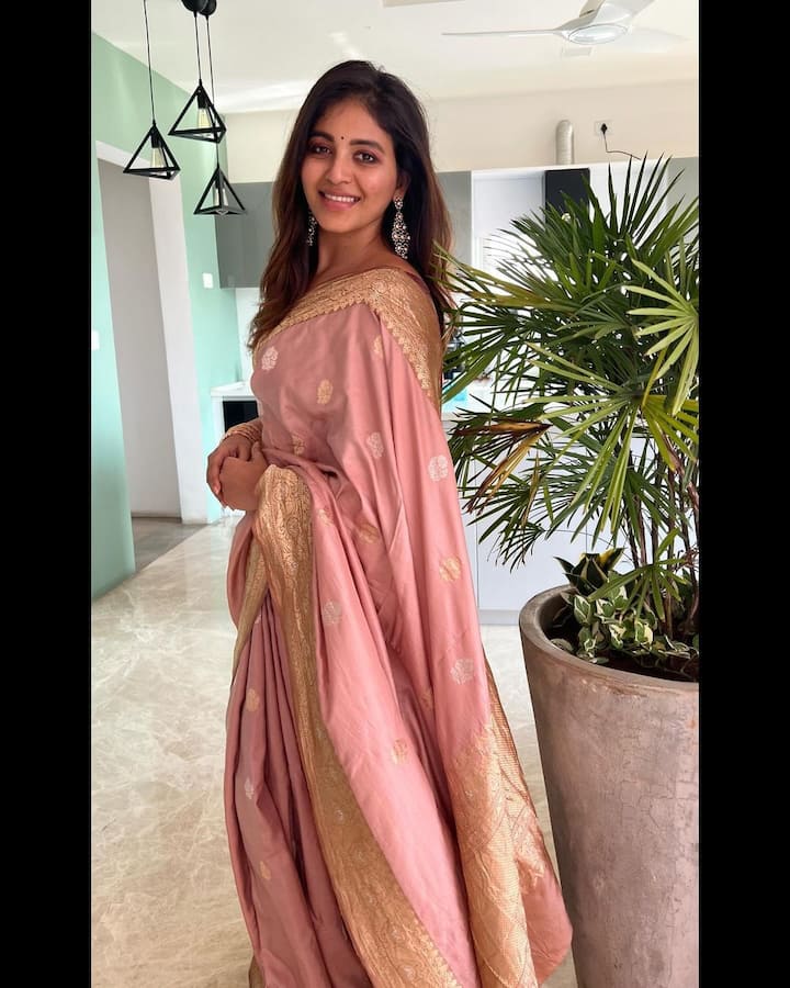 కేవలం సినిమాల్లోనే కాకుండా అంజలి వెబ్ సిరీస్‌ల్లో కూడా కనిపించారు. ‘నవరస’, ‘ఝాన్సీ’, ‘ఫాల్’ వంటి వెబ్ సిరీస్‌ల్లో అంజలి ఇప్పటికే నటించారు.