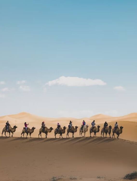 जैसलमेर जाएं तो जरूर करें ये चीज़ें