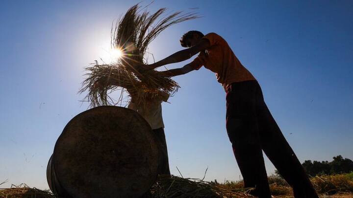 Budget 2024 Agriculture All India Kisan Sabha demand financial provision perishable agricultural commodities and MSP in Budget 2024 Budget 2024 Agriculture :  नाशवंत शेतीमालाला भाव संरक्षण द्या, अर्थसंकल्पात ‘ऑपरेशन ग्रीन’ अंतर्गत ठोस आर्थिक तरतूद करा; किसान सभेची मागणी