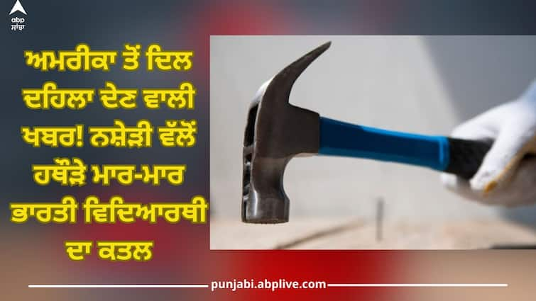 Sad News from America, Indian student was killed by a drug addict Indian Student Killed: ਅਮਰੀਕਾ ਤੋਂ ਦਿਲ ਦਹਿਲਾ ਦੇਣ ਵਾਲੀ ਖਬਰ! ਨਸ਼ੇੜੀ ਵੱਲੋਂ ਹਥੌੜੇ ਮਾਰ-ਮਾਰ ਭਾਰਤੀ ਵਿਦਿਆਰਥੀ ਦਾ ਕਤਲ, ਸਿਰ 'ਤੇ ਕੀਤੇ 50 ਵਾਰ