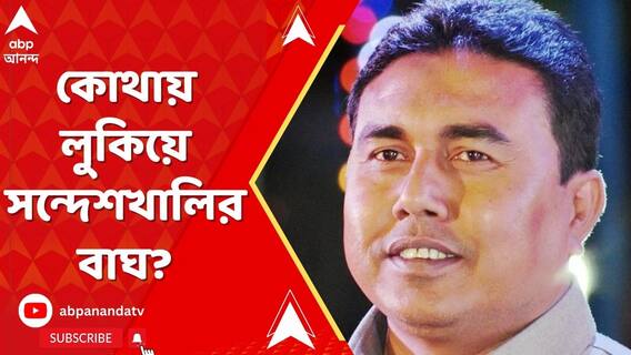 কোথায় লুকিয়ে সন্দেশখালির বাঘ? কী বলছেন কুণাল ঘোষ?