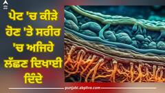 Health Tips: ਸਰੀਰ 'ਚ ਦਿਖਾਈ ਦੇਣ ਵਾਲੇ ਇਨ੍ਹਾਂ ਲੱਛਣਾਂ ਨੂੰ ਨਾ ਕਰੋ ਨਜ਼ਰਅੰਦਾਜ਼, ਪੇਟ 'ਚ ਹੋ ਸਕਦੇ ਕੀੜੇ, ਜਾਣੋ ਉਪਾਅ