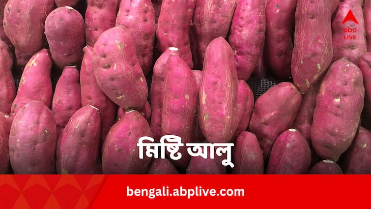 Sweet potato has six benefits for health in winter Sweet Potato Benefits: আলুর মতো ‘ফেমাস’ না হলেও ৬ কারণে সেরা ! শীতেও কেন মিষ্টি আলু খাবেন রোজ ?