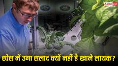स्पेस में भी उगाई जा सकती हैं हरी सब्जियां लेकिन नहीं खा सकते आप, जाने वजह
