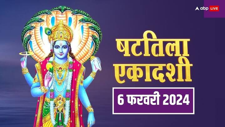 Shattila Ekadashi Daan 2024: षटतिला एकादशी का दिन दान-दक्षिणा के लिए बहुत शुभ होता है. मान्यता है कि इस दिन तिलों का दान करने से पापों का नाश होता है और भगवान विष्णु की कृपा मिलती है.