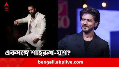 Yash, Shah Rukh Khan To Work Together? KGF Star Keen To Share Screen With SRK But what is stopping them SRK-Yash Collaboration: একপর্দায় যশ-শাহরুখ? ইচ্ছা থাকলেও কথা এগোচ্ছে না এই বিশেষ কারণে