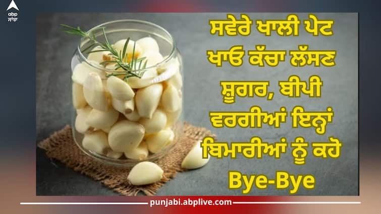 health tips garlic benefits empty stomach lahsun khane de fayde health news Health Tips: ਸਵੇਰੇ ਖਾਲੀ ਪੇਟ ਖਾਓ ਕੱਚਾ ਲੱਸਣ, ਫਿਰ ਦੇਖੋ ਕਮਾਲ...ਸ਼ੂਗਰ, ਬੀਪੀ ਵਰਗੀਆਂ ਇਨ੍ਹਾਂ ਬਿਮਾਰੀਆਂ ਤੋਂ ਮਿਲੇਗਾ ਛੁਟਕਾਰਾ