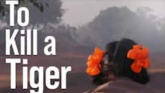 Jharkhand के बाप-बेटी की कहानी को Oscar में मिली जगह, 'टू किल ए टाइगर' बेस्ट डॉक्यूमेंट्री में नॉमिनेट