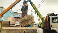 Photos: इंदौरवासियों ट्रैफिक जाम से मिलेगी निजात, बाणगंगा ब्रिज के पास हुआ 50 साल पुराने पेड़ का ट्रांसप्लांट, सामने आई तस्वीरें