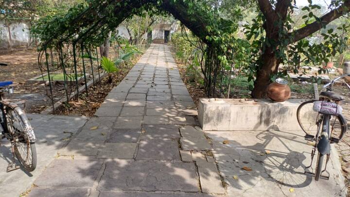 कुलपति के बंगले पर पिछले 12 सालों से काम कर रहे अनिल मालवीय ने बताया कि वह यहां पर माली का काम करते हैं. बंगले के आसपास पूरे परिसर में अच्छी गार्डनिंग की गई है. उन्होंने कहा कि बंगला खाली हो रहा है. अब कुलसचिव के बंगले में कुलपति निवास करेंगे. इन पेड़ पौधों को बड़ी मशक्कत के बाद तैयार किया गया था.