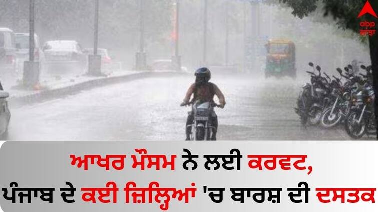 Punjab-weather-Update-news-31-january-2024-rain-in-many-district-know-latest-update Punjab Weather Update: ਆਖਰ ਮੌਸਮ ਨੇ ਲਈ ਕਰਵਟ, ਪੰਜਾਬ ਦੇ ਕਈ ਜ਼ਿਲ੍ਹਿਆਂ 'ਚ ਬਾਰਸ਼ ਦੀ ਦਸਤਕ