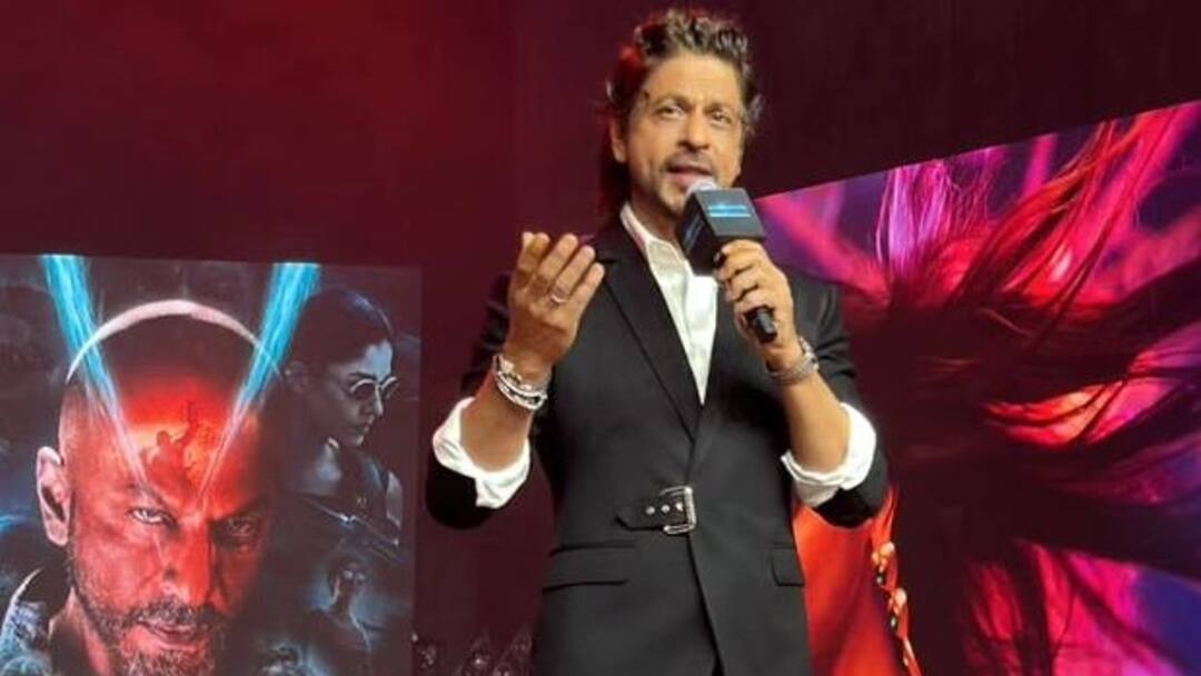 Shah Rukh Khan Pathaan Jawan Dunki Success Fans Have Told Me Not To Take 4 Year-Break Again Shah Rukh Khan: 'Fans Have Told Me Not To Take 4 Year-Break Again'