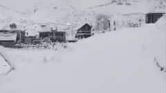 Snowfall in Kashmir: খরা কাটিয়ে স্বমহিমায় ধরা দিল ভূস্বর্গ, তুষারপাতের জেরে কাশ্মীর এখন ছাইরঙা