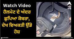 Viral Video: ਹੈਲਮੇਟ ਦੇ ਅੰਦਰ ਛੁਪਿਆ ਕੋਬਰਾ, ਦੇਖ ਵਿਅਕਤੀ ਉੱਡੇ ਹੋਸ਼, ਵੀਡੀਓ ਵਾਇਰਲ