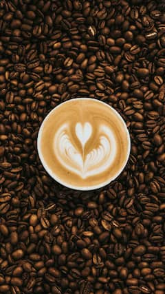 कॉफीची चव कडू का असते ?