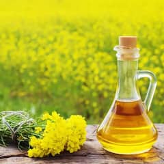 Mustard Oil:  ਸਰੋਂ ਦੇ ਤੇਲ ਤੋਂ ਹੋਣ ਵਾਲੇ ਇਨਾਂ ਫਾਇਦਿਆਂ ਨੂੰ ਜਾਣ ਕੇ ਹੋ ਜਾਓਗੇ ਹੈਰਾਨ