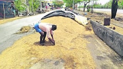 கிராமங்கள் தோறும் நெல் உலர்த்தும் களங்கள் அமைக்கப்படுமா? - விவசாயிகள் எதிர்பார்ப்பு நிறைவேறுமா?