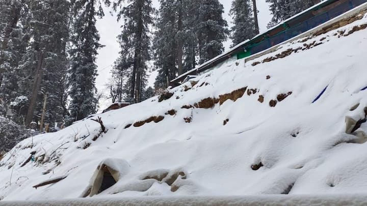 Himachal Pradesh Snowfall In Lahaul Spiti Kullu Kangra Chamba Kinnaur And Shimla See Pics Ann 0909