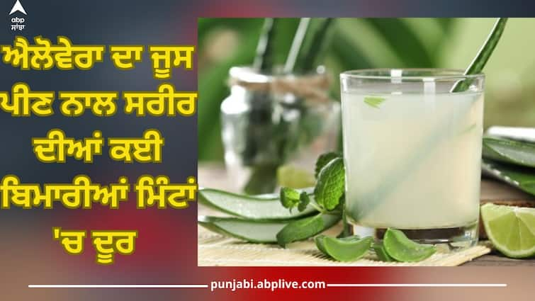 Daily consumption of aloe vera juice is a panacea for body, these diseases are removed, know benefits Benefits of Aloe Vera Juice: ਰੋਜ਼ਾਨਾ ਐਲੋਵੇਰਾ ਜੂਸ ਦਾ ਸੇਵਨ ਸਰੀਰ ਲਈ ਰਾਮਬਾਣ, ਦੂਰ ਹੁੰਦੀਆਂ ਇਹ ਬਿਮਾਰੀਆਂ, ਜਾਣੋ ਚਮਤਕਾਰੀ ਫਾਇਦੇ