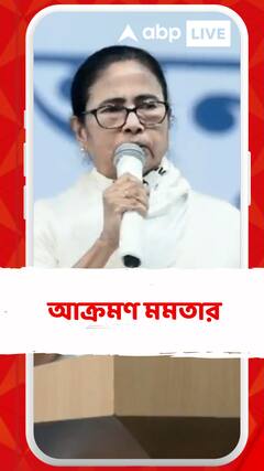 'বর্ডারে বর্ডারে বিএসএফ অত্যাচার করছে', আক্রমণ মমতার