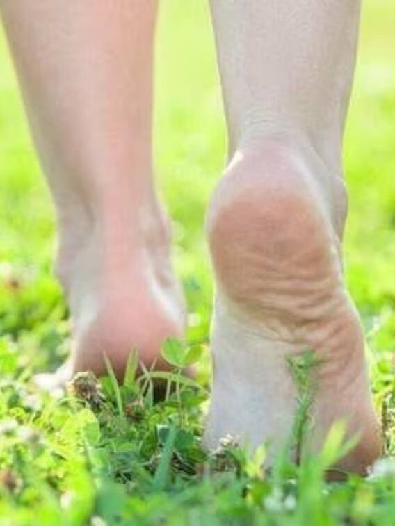 रोजाना सुबह घास पर चलेंगे तो कई बीमारियां होंगी दूर