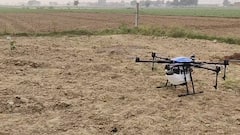 फसलों पर दवा छिड़काव के लिए ऐसे मिलती है 50 फीसदी सब्सिडी, तुरंत उठाएं लाभ