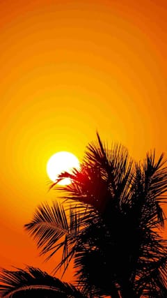 लाल, पिवळा नाही, हा आहे सूर्याचा खरा रंग...