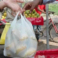 Plastic Side effect: ਹੋ ਜਾਓ ਸਾਵਧਾਨ ! ਪਲਾਸਟਿਕ ਦੀ ਵਰਤੋਂ ਹੋ ਸਕਦੀ ਹੈ ਘਾਤਕ