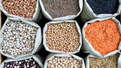 Kitchen Hacks : तांदूळ आणि डाळीमध्ये किडे आणि बुरशी वाढतात, तर अशाप्रकारे करा साठवणूक