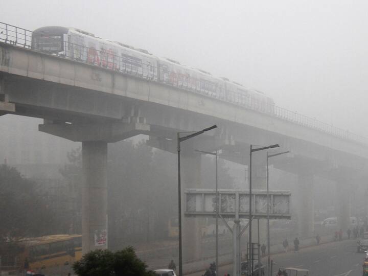 A metro train runs on its tracks during a cold and foggy winter morning, in Gurugram on Tuesday morning. (Photo: PTI)
