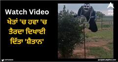 Viral Video: ਖੇਤਾਂ 'ਚ ਹਵਾ 'ਚ ਤੈਰਦਾ ਦਿਖਾਈ ਦਿੱਤਾ 'ਸ਼ੈਤਾਨ', ਵਾਇਰਲ ਵੀਡੀਓ ਦੇਖ ਕੇ ਉੱਡੇ ਲੋਕਾਂ ਦੇ ਹੋਸ਼