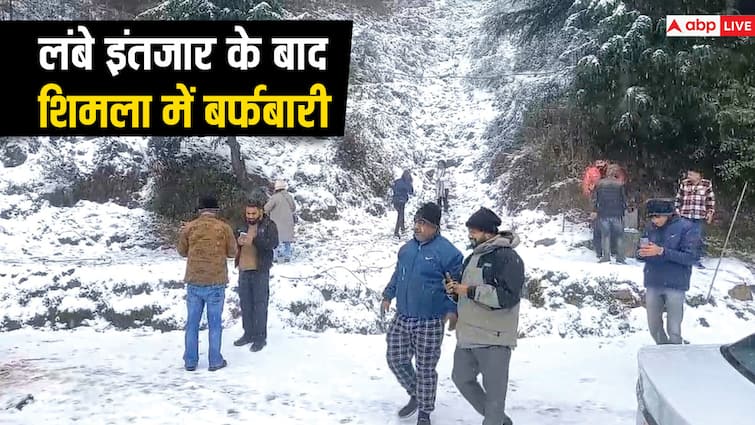 Himachal Pradesh Snow and rainfall in Himachal Pradesh Shimla Kufri snowfall Tourists enjoying ann WATCH: शिमला में बर्फबारी से मौसम हुआ गुलजार, बर्फ की चादरों के बीच आनंद करते दिखे पर्यटक