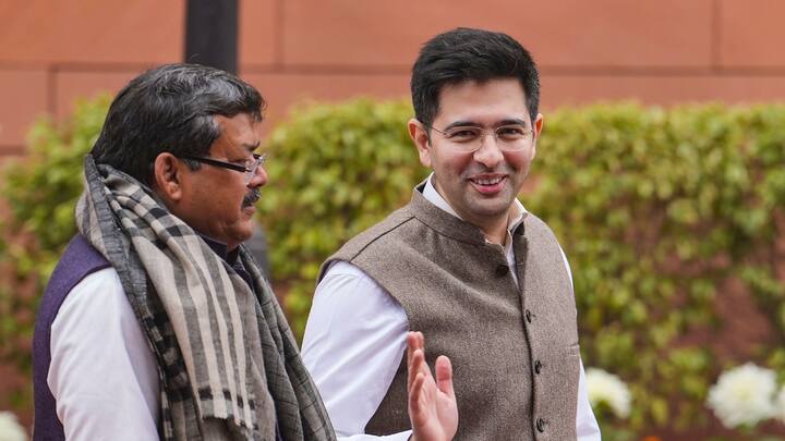 Congress MP Mukul Wasnik and AAP MP Raghav Chadha on the first day of the Budget session of Parliament. (Image Source: PTI)