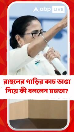 'শান্তিপূর্ণভাবে মিছিল মিটিং করুক আমার কোনও আপত্তি নেই', মন্তব্য মমতার