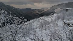 Himachal Snowfall: हिमाचल में लंबे इंतजार के बाद पहाड़ों पर बिछी बर्फ की चादर, मन मोह लेंगी ये तस्वीरें