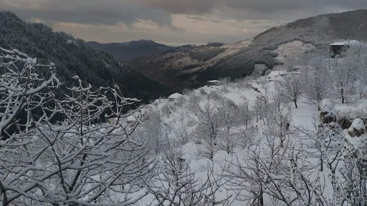 Himachal Pradesh: हिमाचल प्रदेश में लंबे वक्त से बर्फबारी का इंतजार खत्म हो गया है. पहाड़ों पर बर्फ की खूबसूरत चादर बिछ चुकी है. इससे प्रदेश भर के तापमान में भी गिरावट आई है. पर्यटकों में उत्साह है.