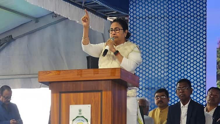 BSF Shooting People Dead Bengal CM Mamata Banerjee Row Over CAA Implementation 'BSF Shooting People Dead': Bengal CM Mamata Amid Row Over CAA Implementation