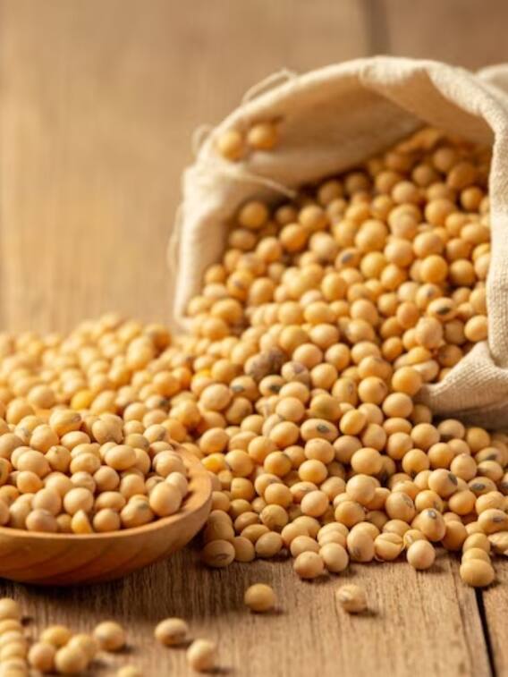 इन देशों में होती है सबसे ज्यादा सोयाबीन