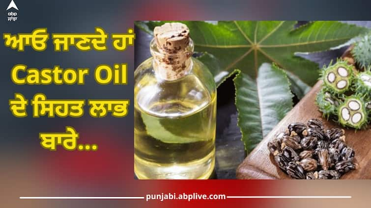 Castor Oil: Know about the beneficial properties of castor oil, relief from problems like swelling and pain Castor Oil: ਜਾਣੋ ਕੈਸਟਰ ਤੇਲ ਦੇ ਗੁਣਕਾਰੀ ਫਾਇਦਿਆਂ ਬਾਰੇ, ਸੋਜ ਅਤੇ ਦਰਦ ਵਰਗੀਆਂ ਸਮੱਸਿਆਵਾਂ ਤੋਂ ਮਿਲਦੀ ਰਾਹਤ