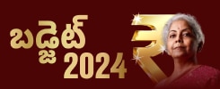 Budget 2024