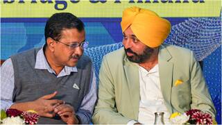 AAP Protest in Delhi: 2 ਫਰਵਰੀ ਨੂੰ 'ਆਪ' ਦਾ ਵੱਡਾ ਪ੍ਰਦਰਸ਼ਨ, ਸੀਐਮ ਕੇਜਰੀਵਾਲ ਅਤੇ ਭਗਵੰਤ ਮਾਨ ਹੋਣਗੇ ਸ਼ਾਮਲ