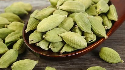 Astrological Benefits of Cardamom Elaichi Benefits Effects in Astrology Money Cardamom: ஏலக்காய் சாப்பிடுவதால் செல்வம் பெருகுமா? ஜோதிடம் சொல்வது இதுதான்!