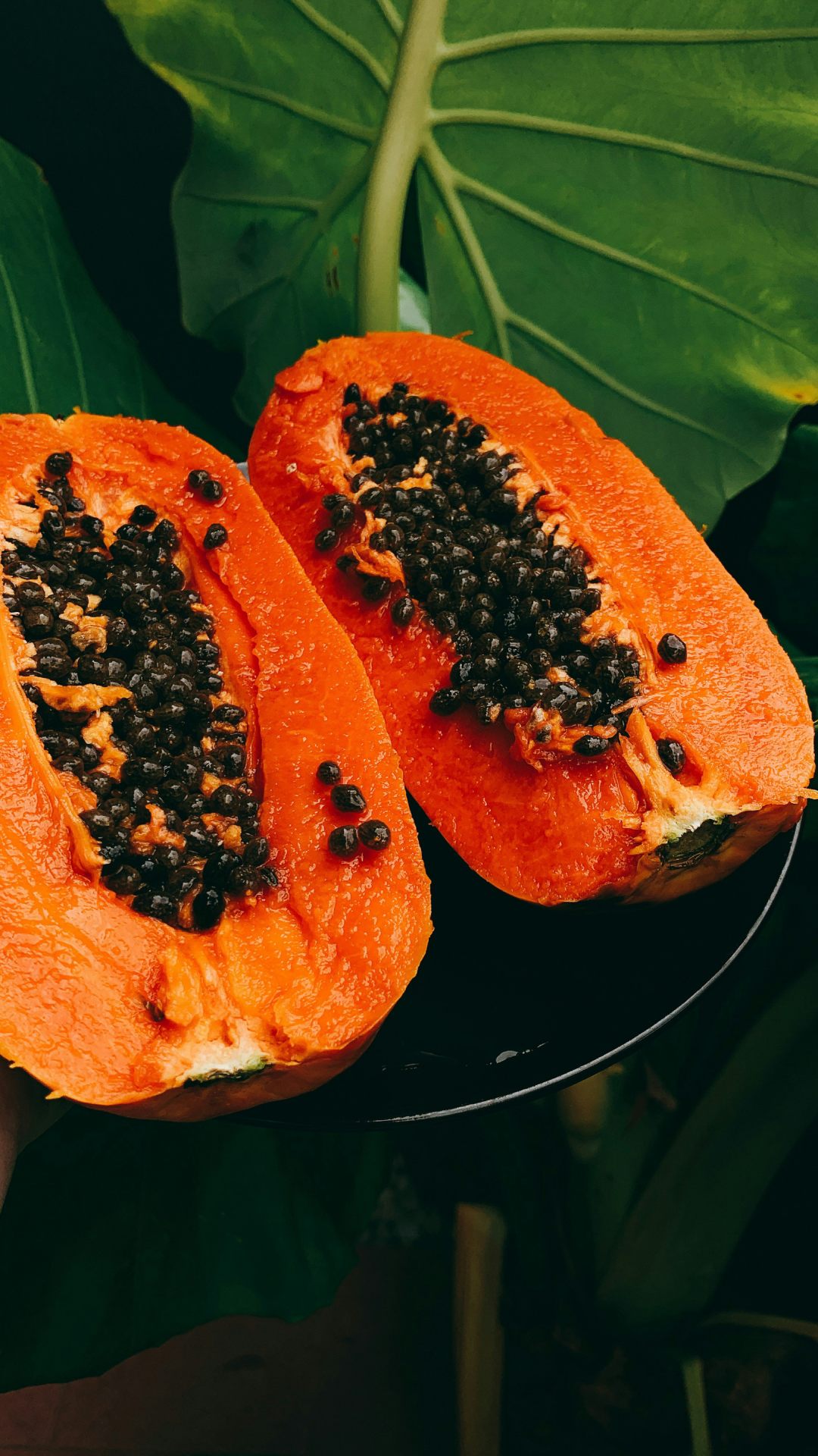 Papaya For Weight Loss: वजन कमी करण्यासाठी दररोज प्या पपईचा ज्यूस; काही दिवसांतच बर्फासारखी वितळेल पोटावरची चरबी!