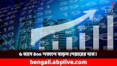 ৬ মাসে বেড়েছে ৪০০ শতাংশ ! রেকর্ড উচ্চতায় দৌড়চ্ছে এই মাল্টিব্যাগার শেয়ার