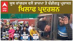 Chandigarh Mayor Election Case | ਯੂਥ ਕਾਂਗਰਸ ਵਲੋਂ ਭਾਜਪਾ ਤੇ ਚੰਡੀਗੜ੍ਹ ਪ੍ਰਸ਼ਾਸਨ ਖਿਲਾਫ ਪ੍ਰਦਰਸ਼ਨ